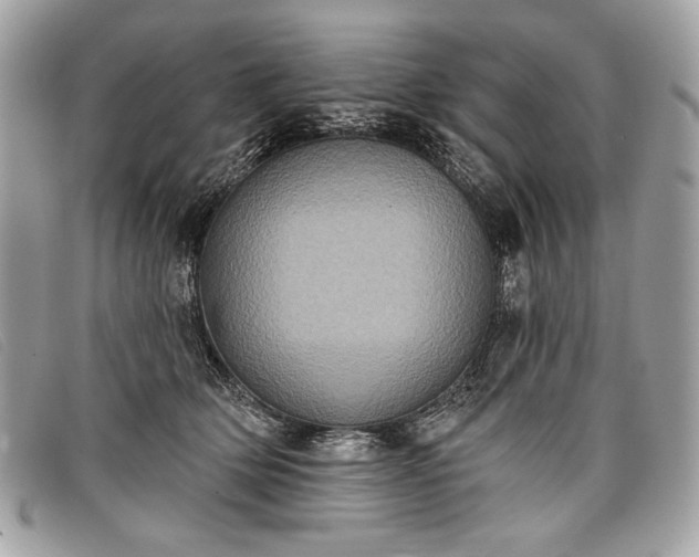 X0000098010514200804111236