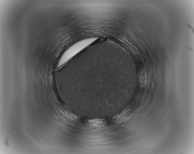 X0000098010516200804111236