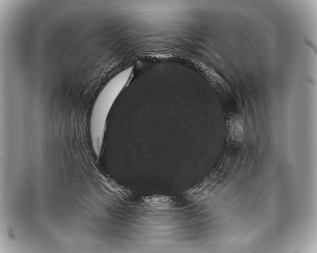 X0000098010517200804111236