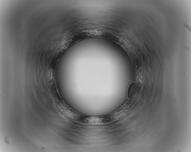 X0000098010518200804111236