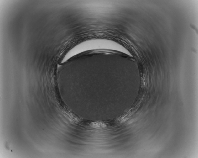 X0000098010520200804111236