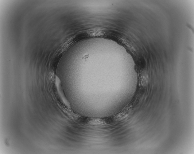 X0000098010521200804111236