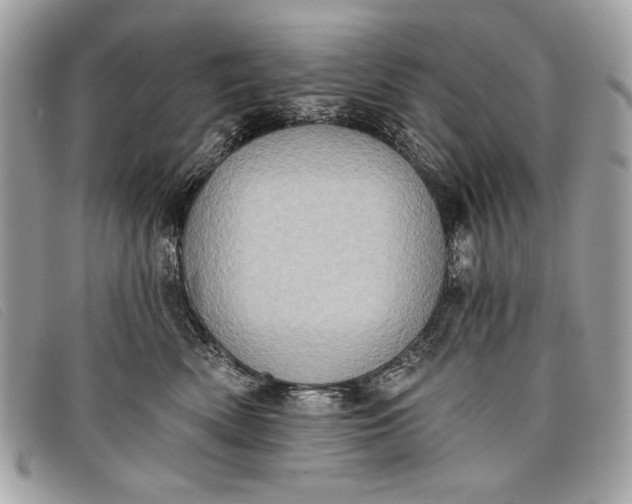 X0000098010522200804111236