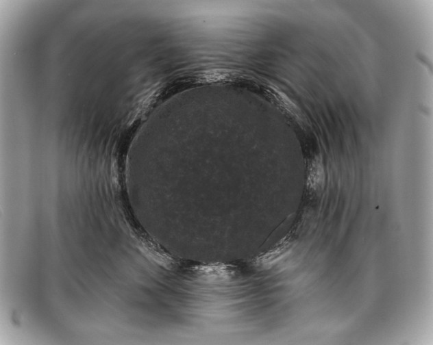 X0000098010524200804111236