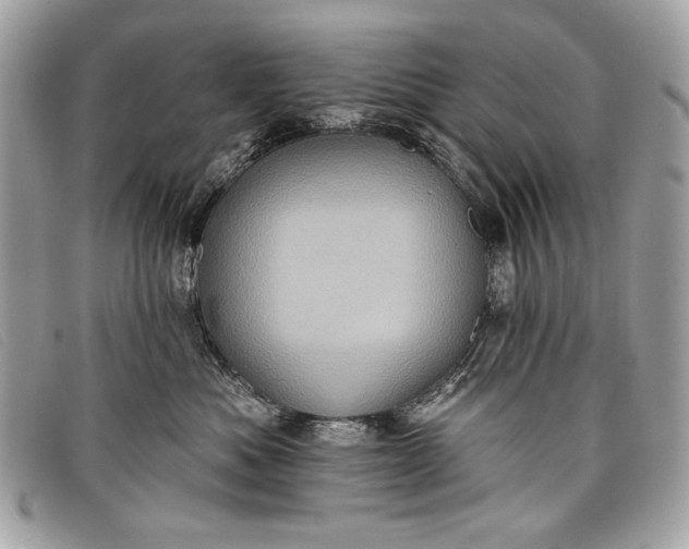 X0000098010525200804111236