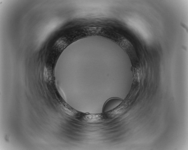 X0000098010526200804111236