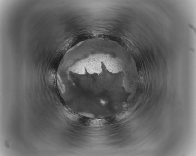 X0000098010527200804111236