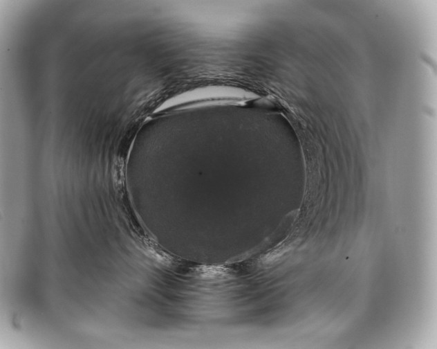 X0000098010528200804111236