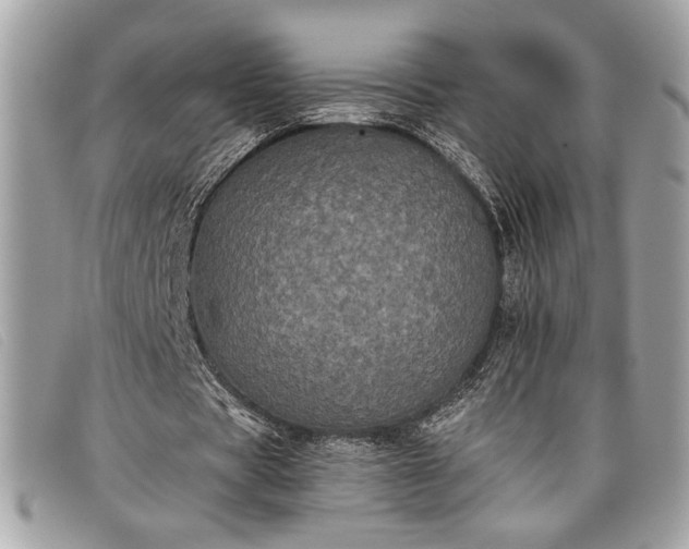 X0000098010529200804111235