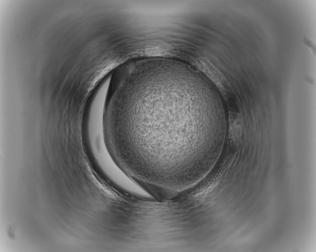 X0000098010530200804111235