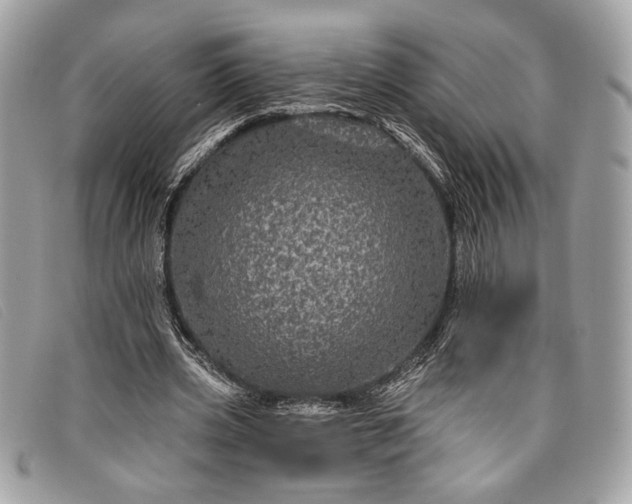 X0000098010533200804111235