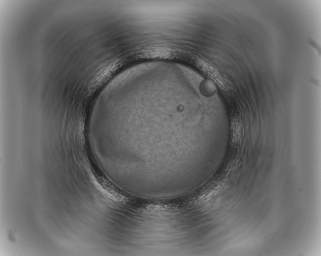 X0000098010538200804111235