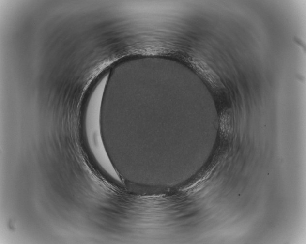 X0000098010540200804111235