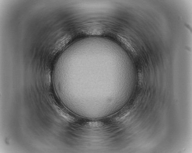 X0000098010541200804111235