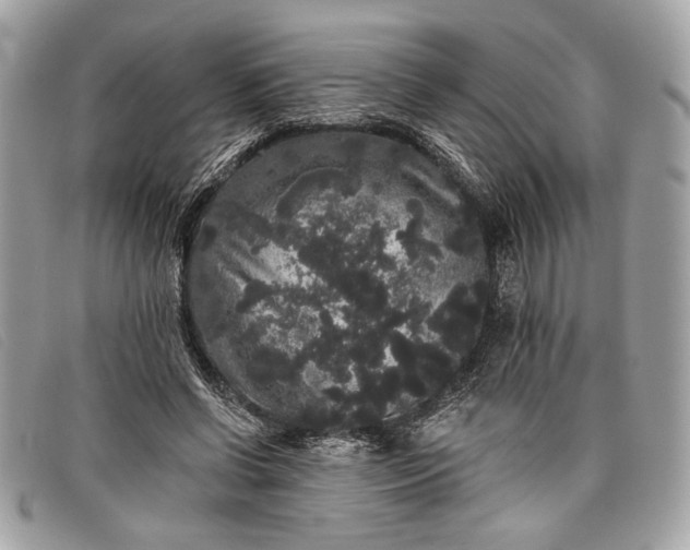 X0000098010542200804111235