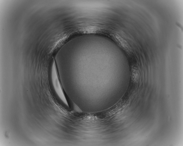 X0000098010543200804111235