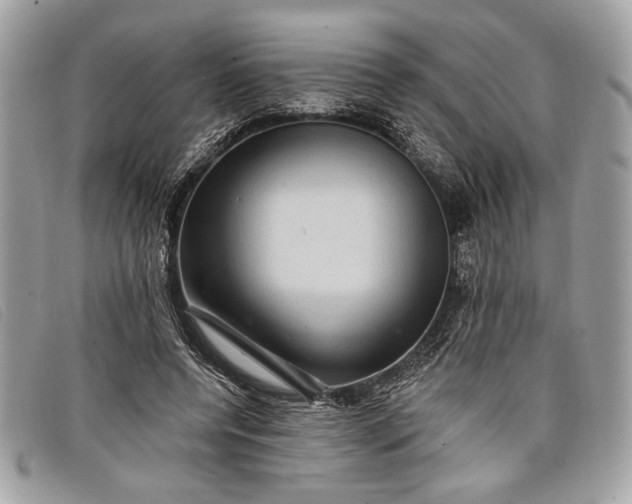 X0000098010544200804111235