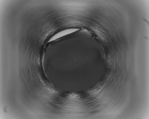 X0000098010547200804111235