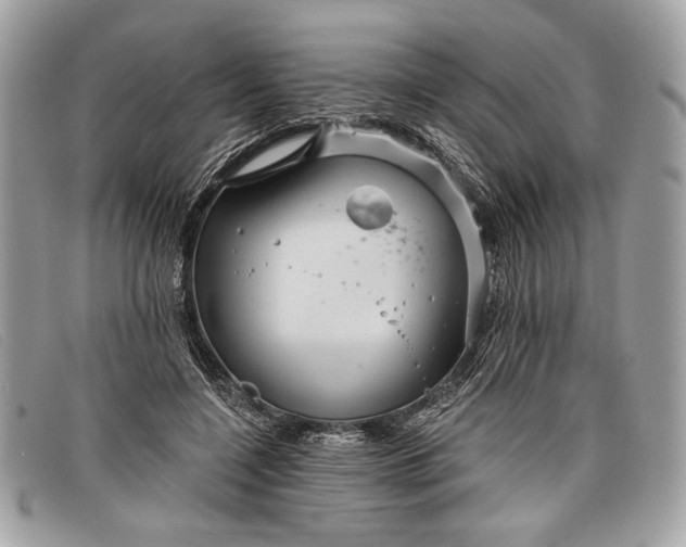 X0000098010548200804111235