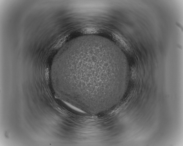 X0000098010549200804111235