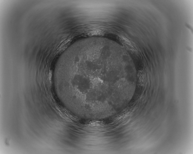 X0000098010550200804111235