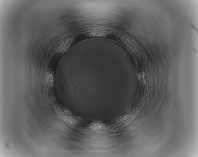 X0000098010551200804111235