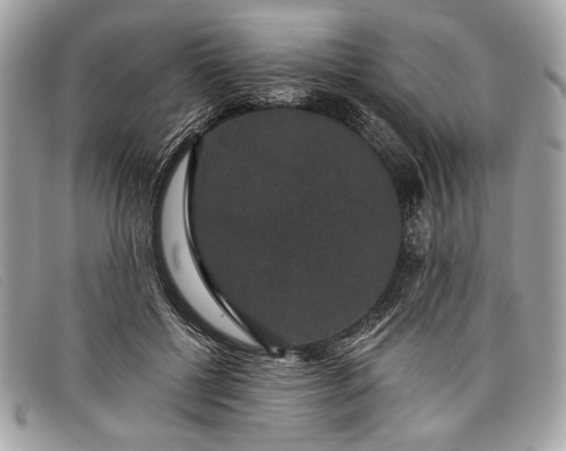 X0000098010552200804111235