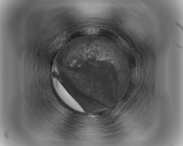 X0000098010553200804111235