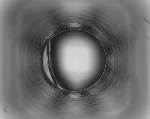 X0000098010556200804111235