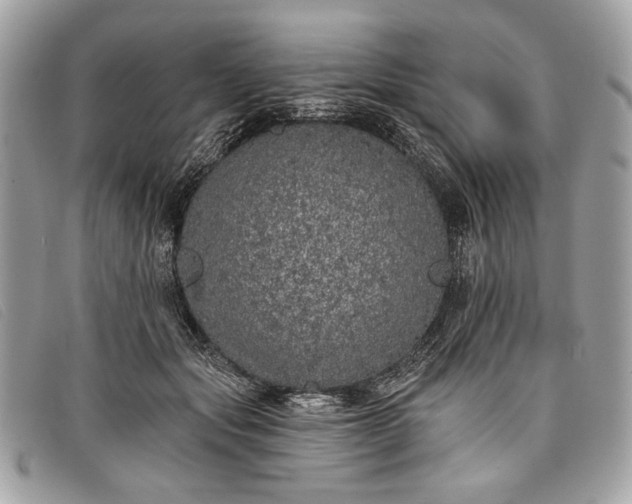 X0000098010557200804111235