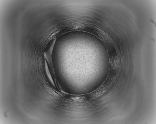 X0000098010558200804111235