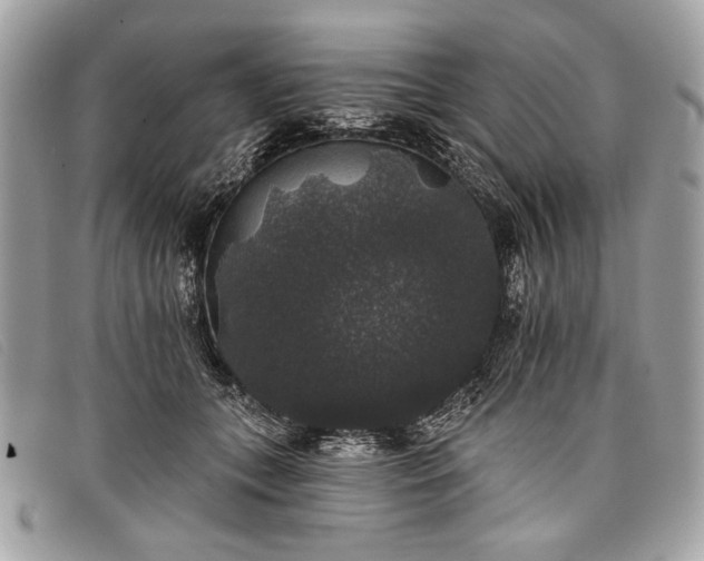 X0000098010559200804111235