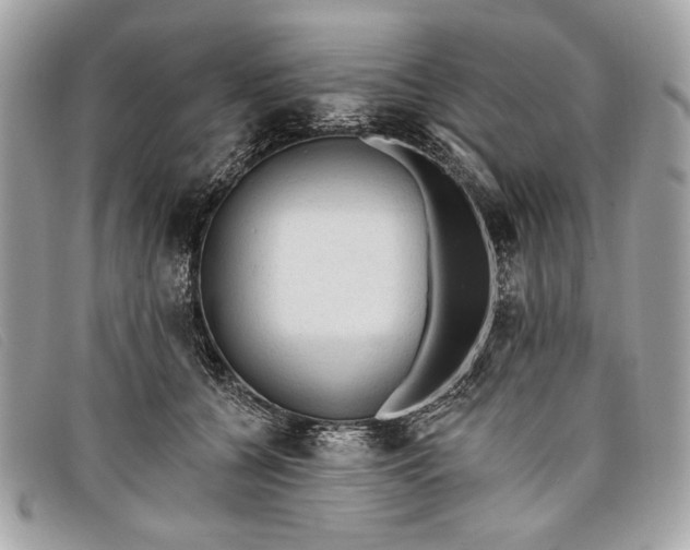 X0000098010560200804111235