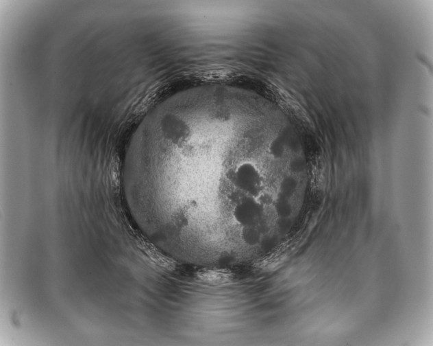 X0000098010561200804111235