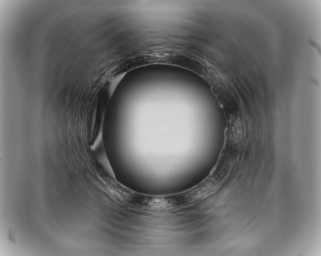 X0000098010562200804111235