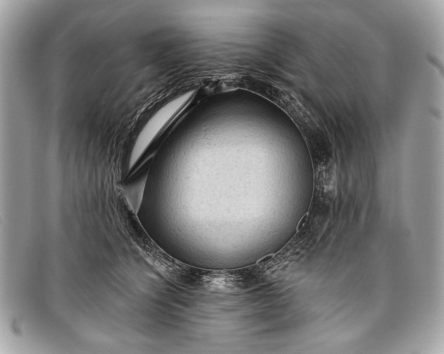 X0000098010564200804111236