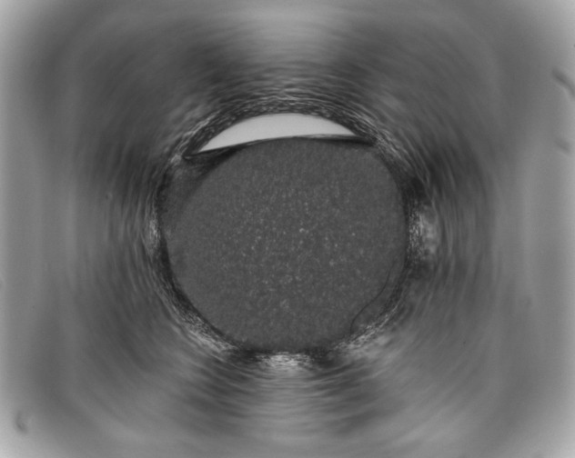 X0000098010566200804111236