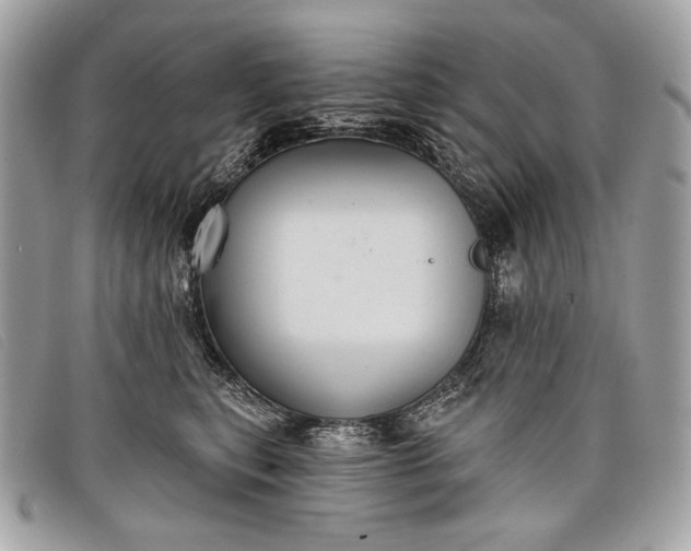 X0000098010567200804111236