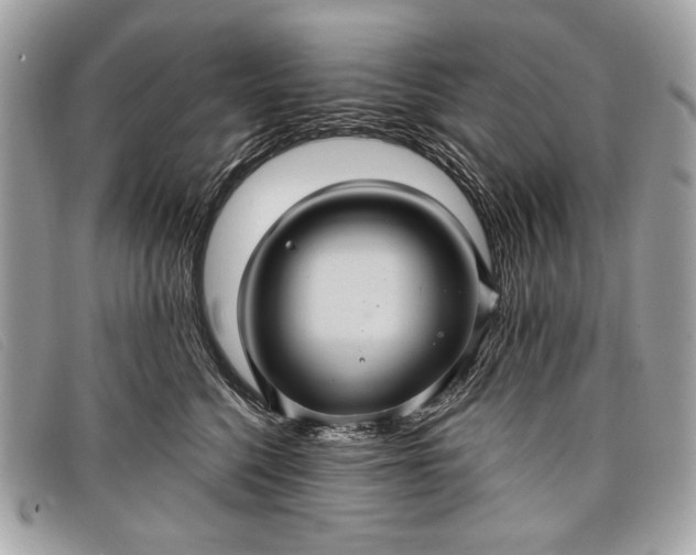 X0000098010568200804111236