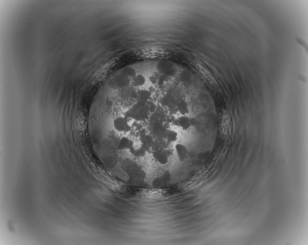 X0000098010569200804111236