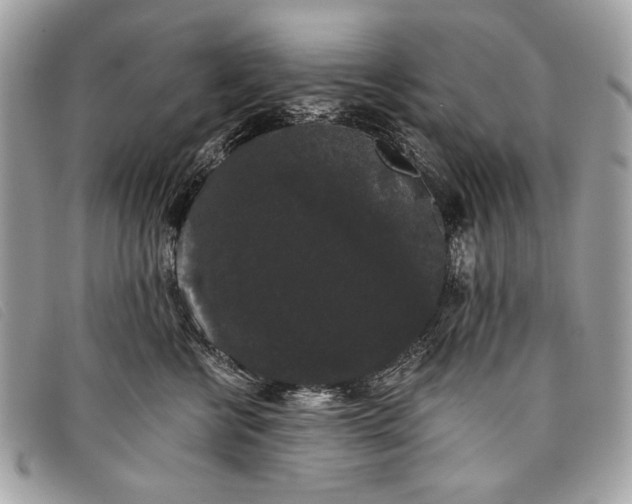 X0000098010570200804111236