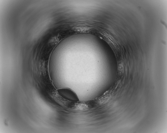 X0000098010572200804111236