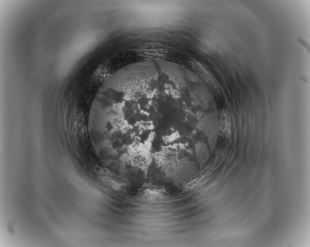 X0000098010573200804111236