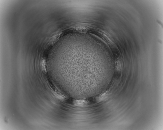 X0000098010575200804111236