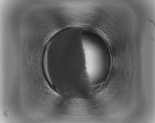 X0000098010577200804111235