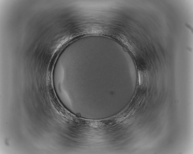 X0000098010579200804111235