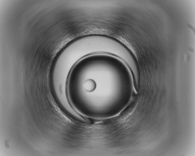 X0000098010581200804111235