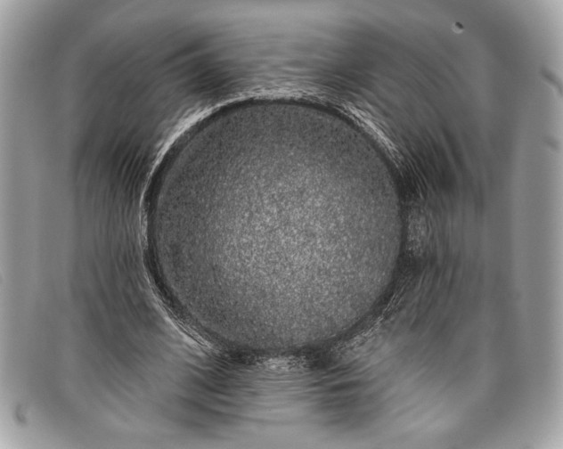 X0000098010584200804111235