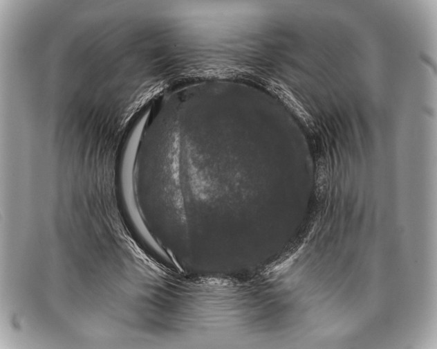 X0000098010585200804111235