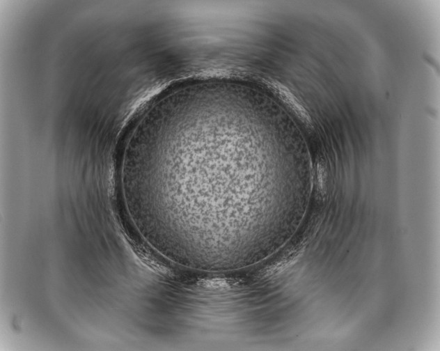 X0000098010588200804111235